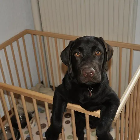 A La Chotte Romanel-sur-Lausanne