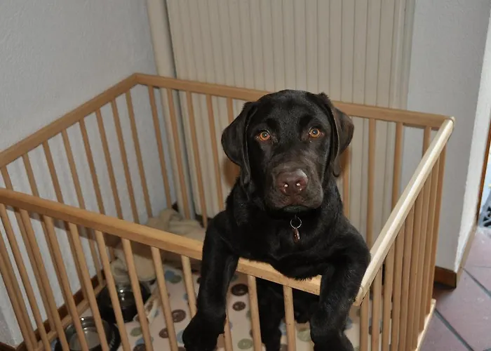 A La Chotte Romanel-sur-Lausanne